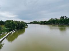-江心屿景区