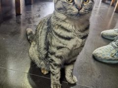 -老北京褡裢火烧·任记