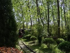 -合肥滨湖国家森林公园