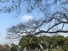 -浙江西子宾馆·牡丹厅