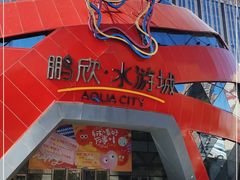 -鹏欣水游城