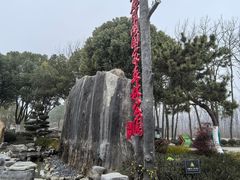 -合肥滨湖国家森林公园