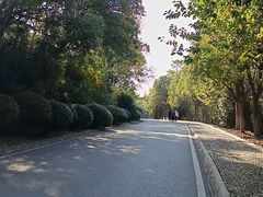 -南京市江宁方山