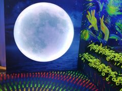 -天津梵高星空艺术馆(天河城旗舰店)