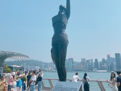 -星光大道