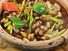 -天宝食坊·啫啫煲大排档(西华路店)