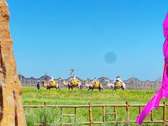 -呼伦贝尔大草原巴尔虎蒙古部落民俗旅游度假景区