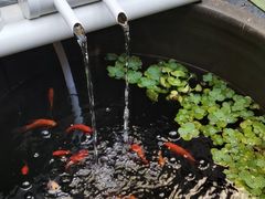 -伊隆斋(什刹海店)