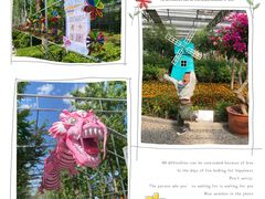 -南宫五洲植物乐园