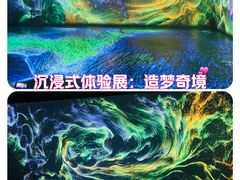 -上海宝龙美术馆