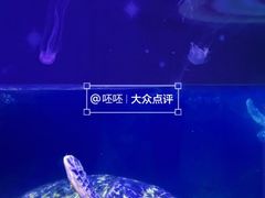 -海合安武汉极地海洋公园