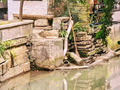 -小洲村