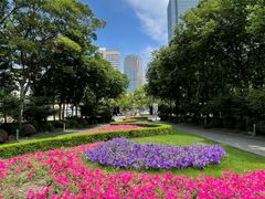 -新虹桥中心花园