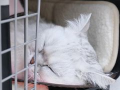 -联合动物医院(光谷诊疗中心)
