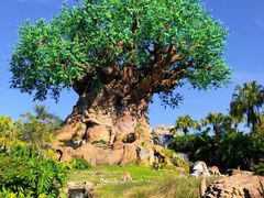 -奥兰多迪士尼动物王国乐园