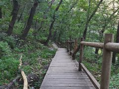 -北京上方山国家森林公园