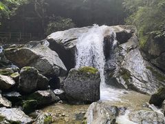 -牛背梁国家森林公园
