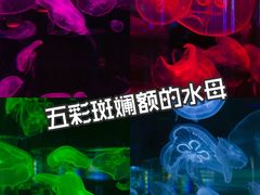 -长春农博园