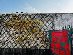 -新沙洞咖啡(泉乐坊店)