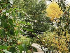 -东湖落雁景区