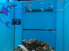 -横店影视城梦幻谷园区