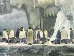 -珠海长隆海洋王国