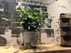 -宝岛眼镜(万达广场店)