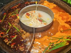 -渝涯重庆豆花老火锅(中赢国际店)