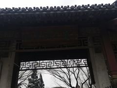 -团结湖公园