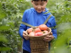 -亲兄弟真人CS团建拓展基地