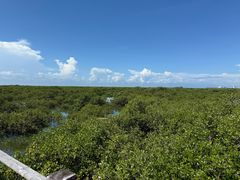 -北海金海湾红树林生态旅游区