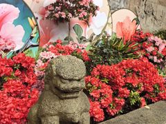 -上海醉白池公园