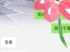 -宝泉铜锅·涮羊肉(解放东路店)