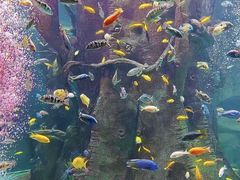 -合肥海洋世界