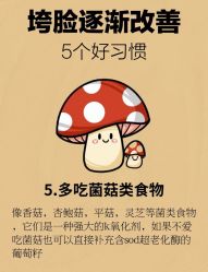 -Fundi张玉珊修身堂·indiba·BTL科技瘦身