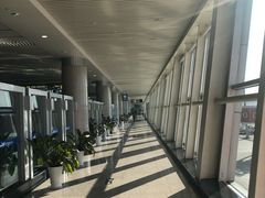 -威海大水泊国际机场