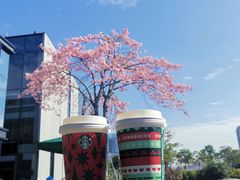 -星巴克(深圳前海企业公馆店)