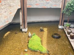 -几荷·恰似故人来(秀水广场店)