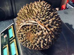 -都念榴莲·城市榴莲