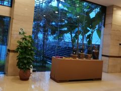 -九华山聚龙大酒店