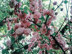 -维乐口腔医院(福清院)