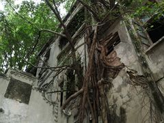 -汕头市小公园