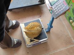 -盛华世家商业广场农贸水产综合批发市场