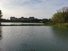 -昆山城市生态森林公园