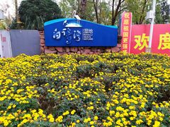 -白鹭湾湿地公园