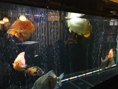 -长赢养生(平度店)