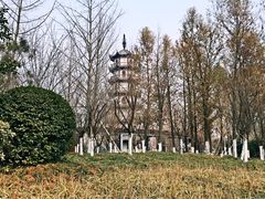 -桃花岛公园