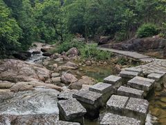 -广州白江湖森林公园