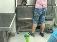 -达爱动物医院·犬猫分区·CT·复杂眼科(远洋山水分院)