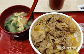 Beef Donburi (Medium)